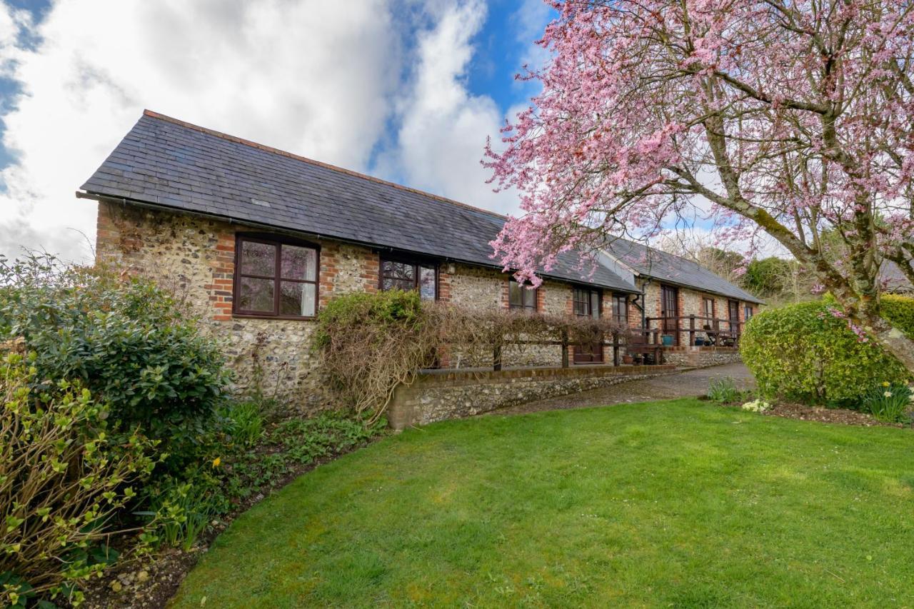 Luccombe Farm Holiday Cottages Milton Abbas Екстер'єр фото