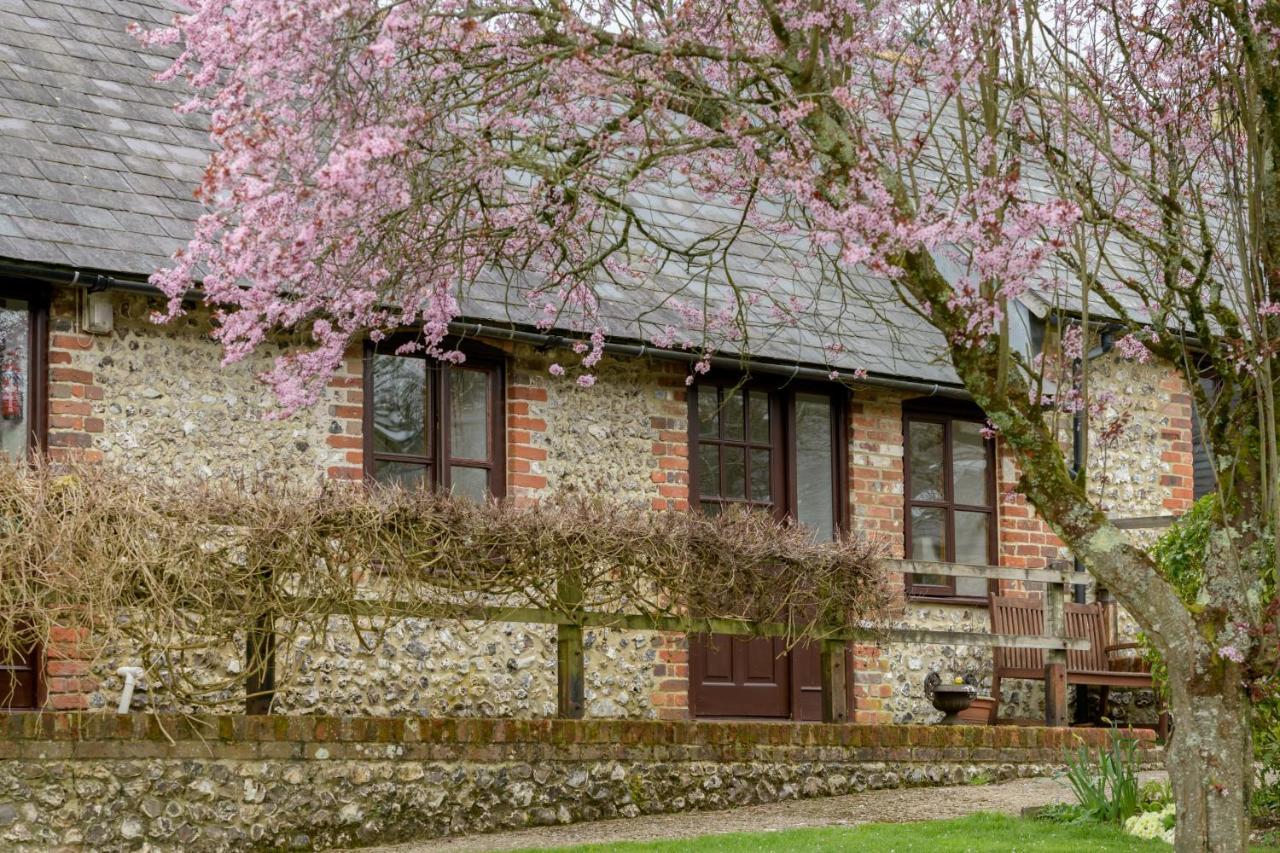 Luccombe Farm Holiday Cottages Milton Abbas Екстер'єр фото