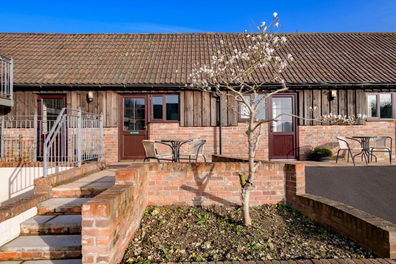 Luccombe Farm Holiday Cottages Milton Abbas Екстер'єр фото