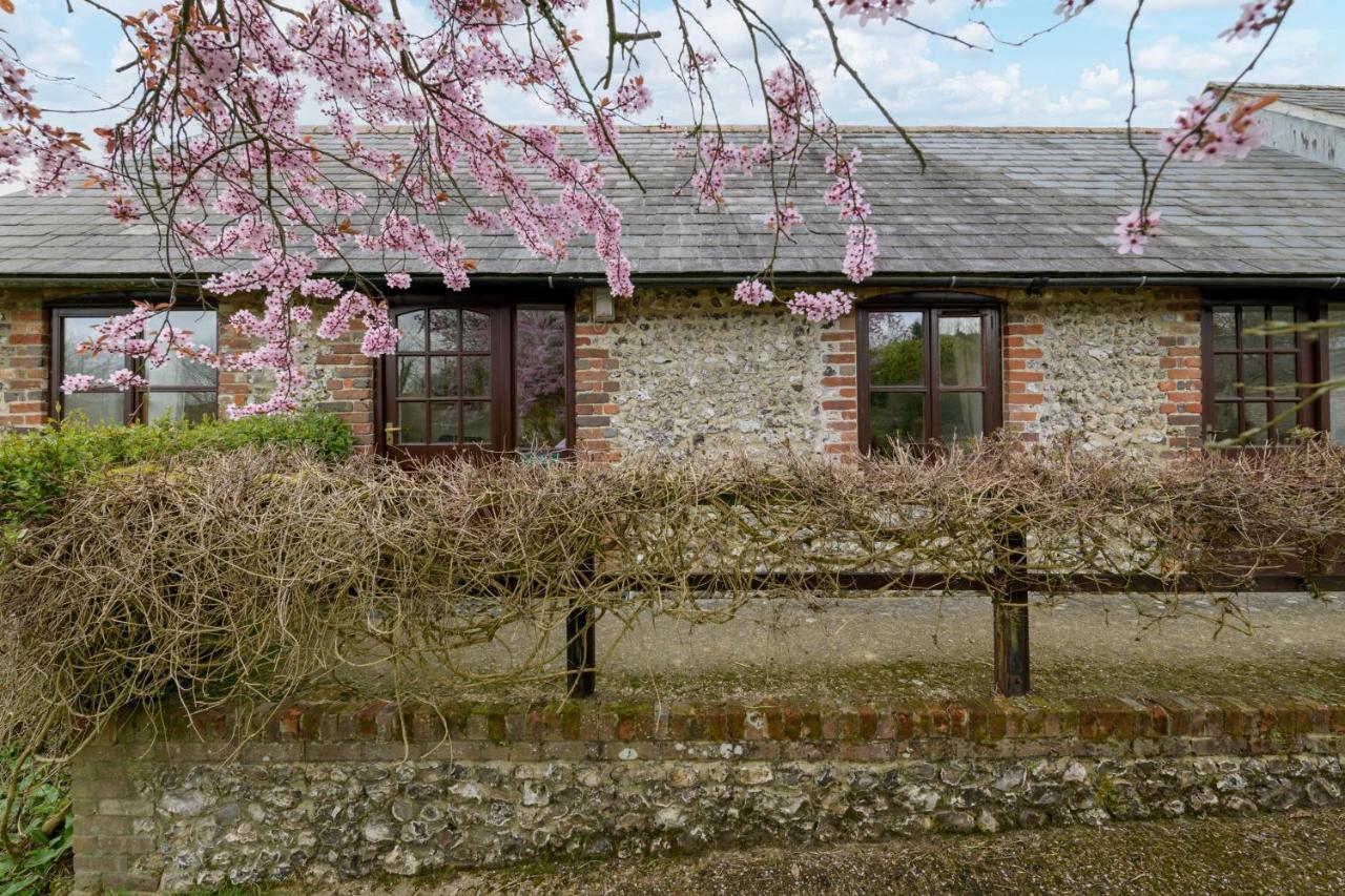 Luccombe Farm Holiday Cottages Milton Abbas Екстер'єр фото