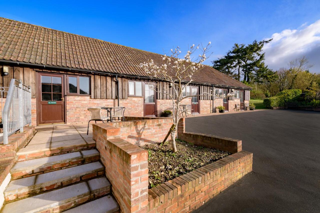 Luccombe Farm Holiday Cottages Milton Abbas Екстер'єр фото